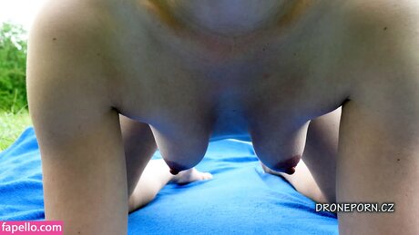 Da an Cat pornstar adult images