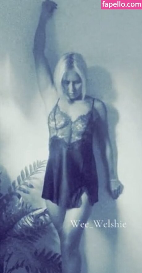 Wee welshie model perfect galleries