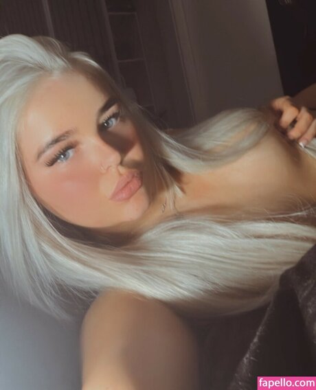 Lotus Petrie star galleries