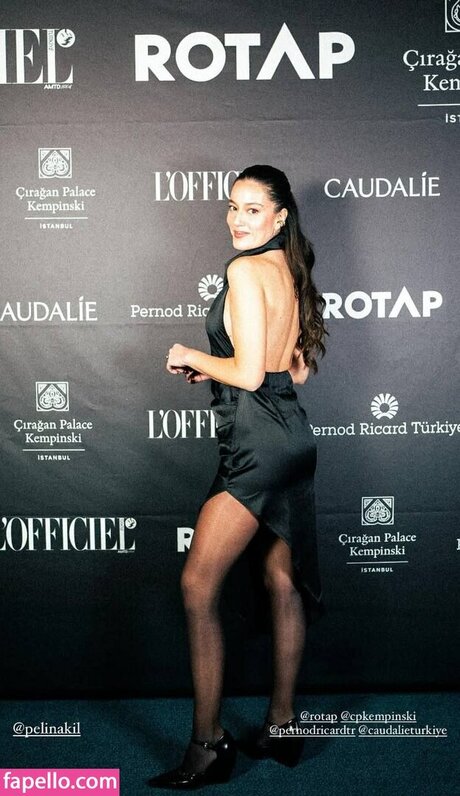 Pelin Akil nude actress galleries