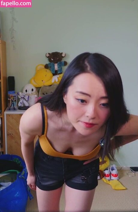 PotasticPanda model top image