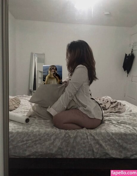 Xailaca free star image