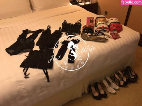 Hotwifebaobao Miqi free star images