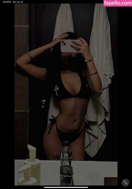 shradhaa 2110 star art gallery