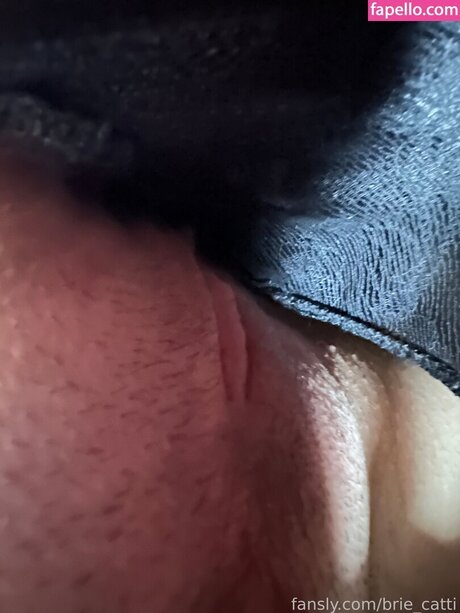 Brie cattii sexy star images