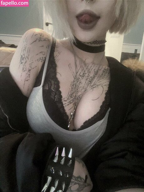 Paradoxy high quality star pic