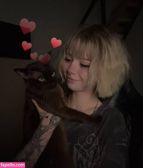 Paradoxy perfect star gallery