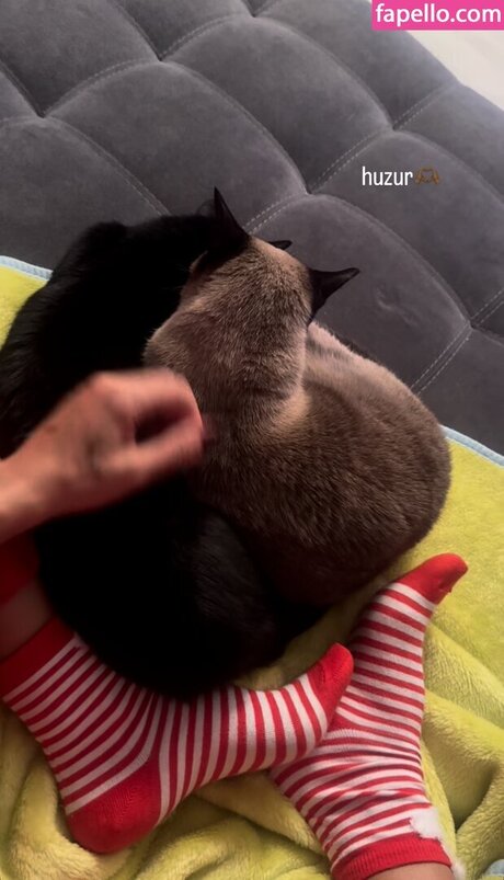 pinars0ylu star erotic img