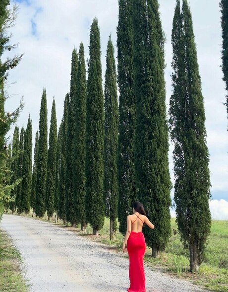 Sakshi Malik porn star photo