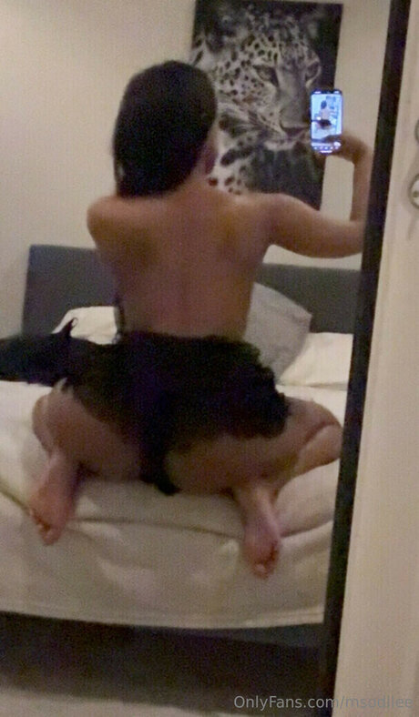 msodile_ star pornographic image