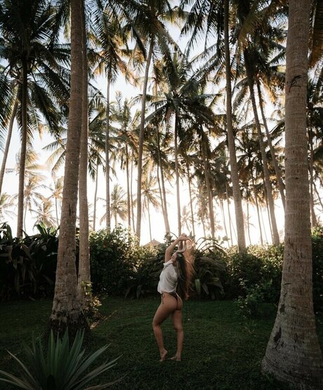 Alohalaia star top archive