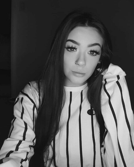 nic2hardo star nice galleries