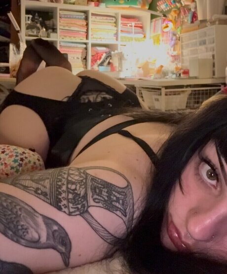 xBeaux high quality star img