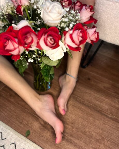 MissHazedFeet pornstar free photos