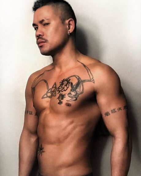 DS ARTS perfect model galleries