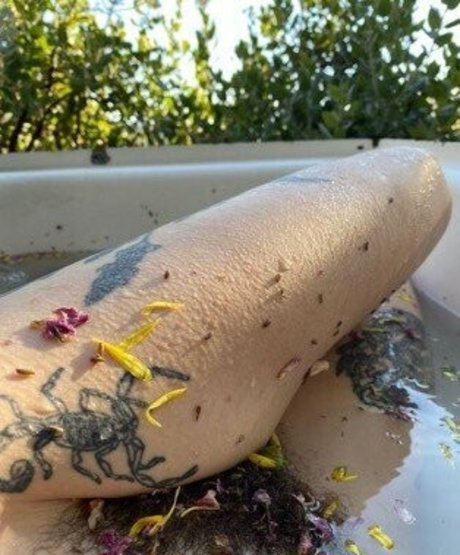 Aralia Hunt model nude photos