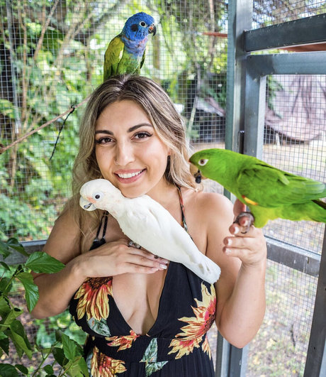 Gabby Nikolle xxx pornstar photo