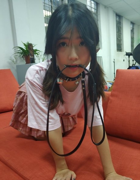 chengzidasi top pornstar image