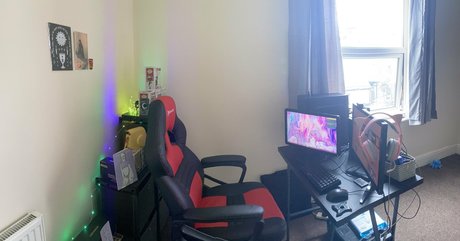 denaliplays art star picture