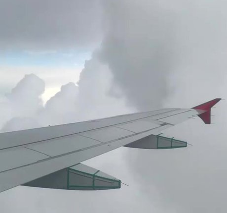 Sarao Sulli pornographic actress pic