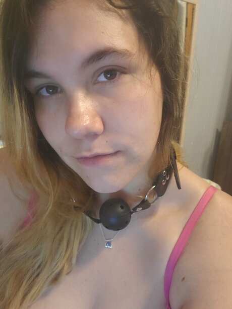 Good Girl Celeste Cat perfect star gallery