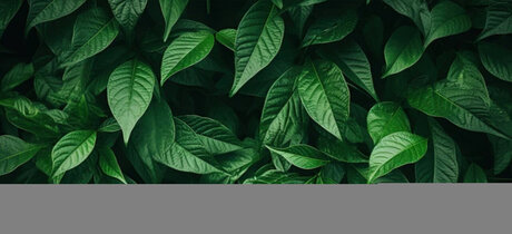 Soul Dream pretty pornstar pictures