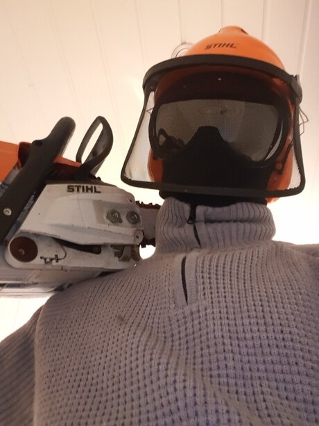 The Norwegian Dude free star photo