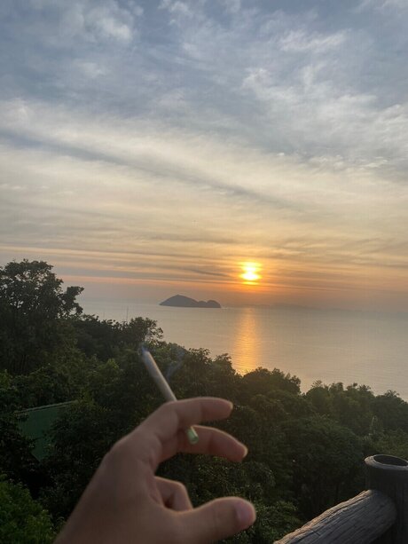 fireman sam perfect model image