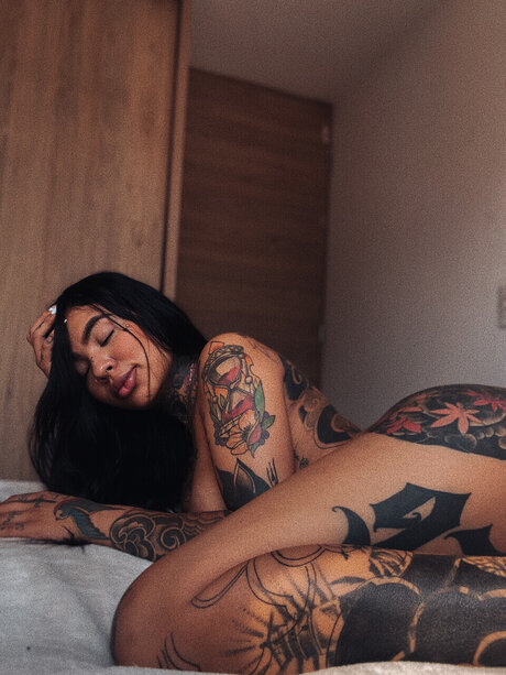 Lane model art images