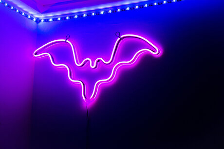 Karma sutra_ exclusive model picture