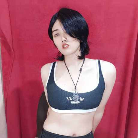 Lei Tao star free photo