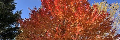 Southerncub pornstar exclusive image