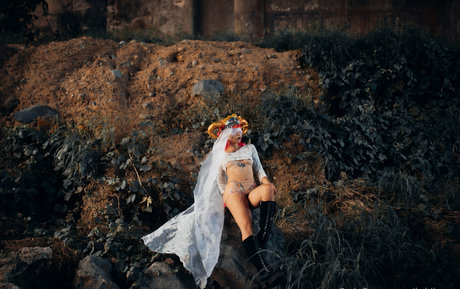 lokikypo star nice photos