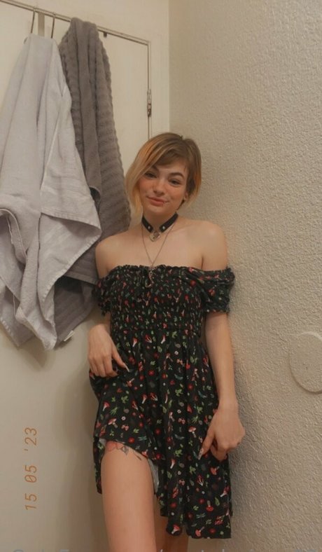 pastel vixen03 star archive