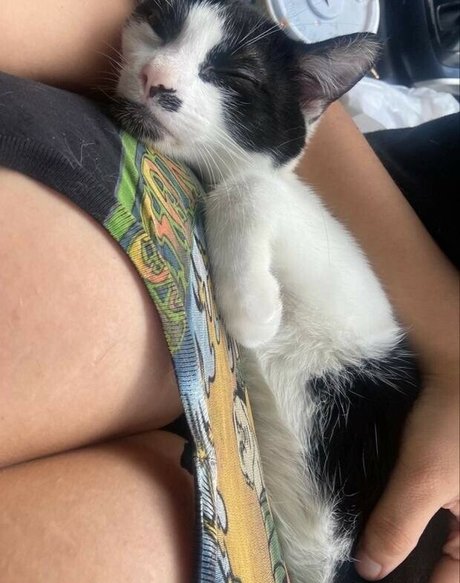 Uculdcme adult model pictures