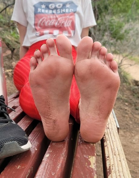 feetofastoner model free picture