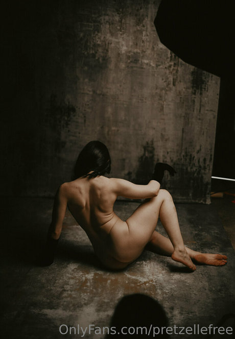 pretzellefree thumbnail