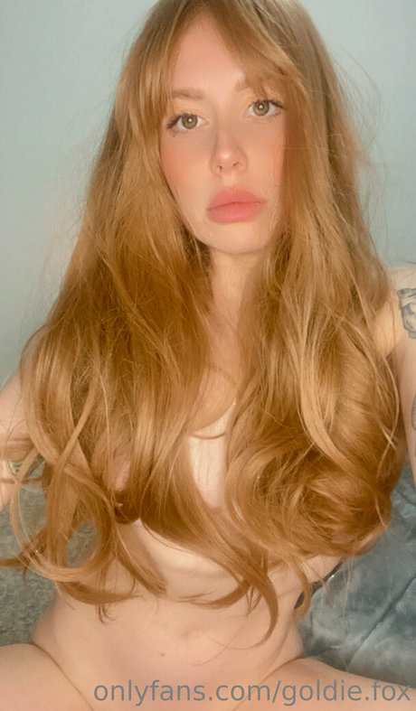 rhubarbbarbie beautiful star galleries