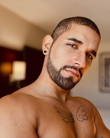 Regaddo Edd adult actress photo