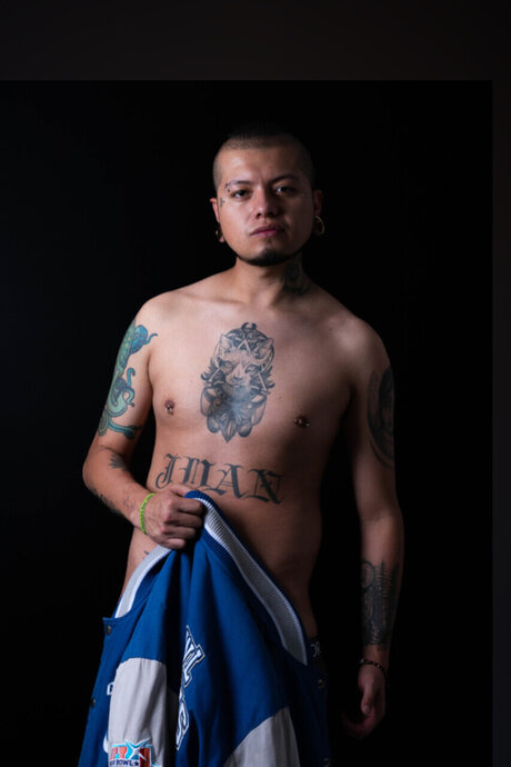 AnEd27 model pretty picture