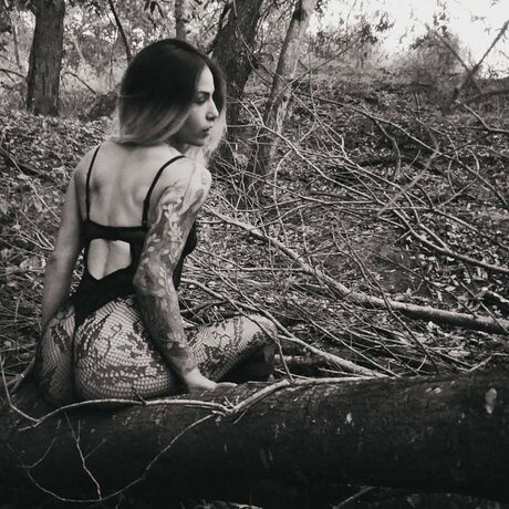 Morbid pyscatic pornstar top galleries