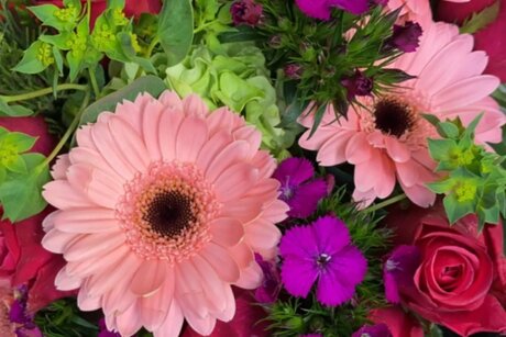 Kandyy_ star xxx images