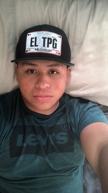 Ale high quality model img