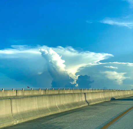 Gustavo Troche star beautiful pics