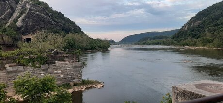 Ella berry pornstar exclusive image