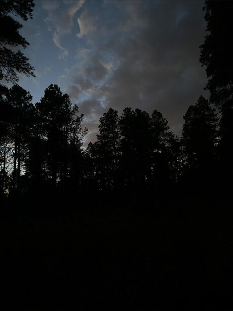 T Angel model pretty galleries