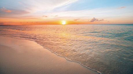 Patriciaa nice star photo