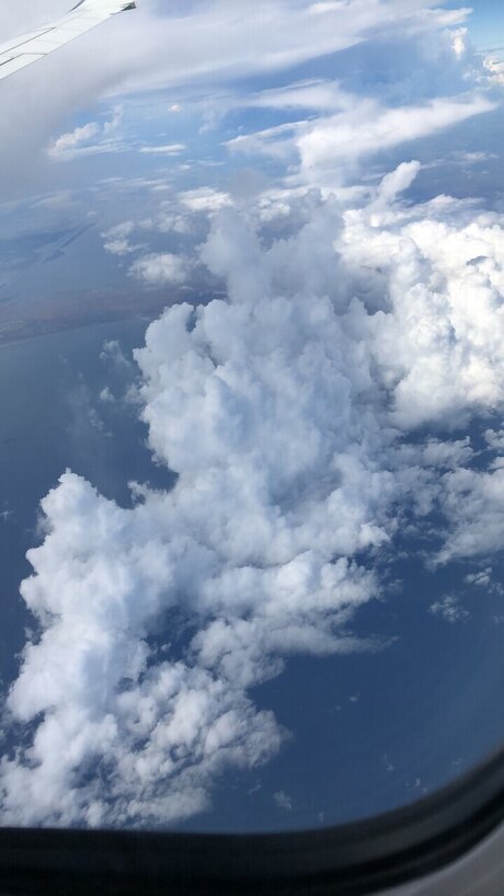 NiCholee sexy star photos