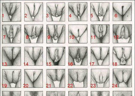 whitedovecries free actress archive