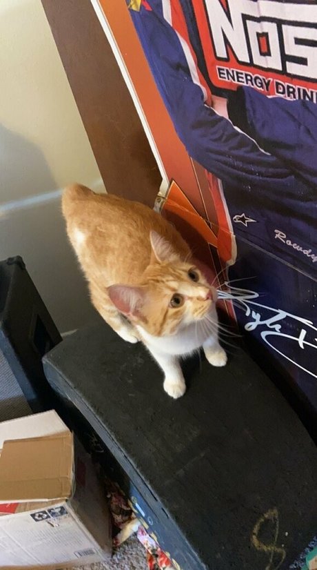 katiebuggz pornstar nudes photo